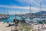 Marina Vela Barcelona Regata Golden cup 2