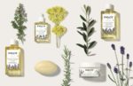PAYOT HERBIER