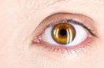 visiondirect