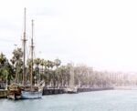 fiskebar-la-nueva-propuesta-gastro-que-mira-barcelona-desde-el-mar-2