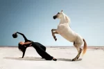 kendall-jenner-horse-girl-stella-mccartney-