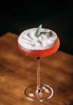 coctel