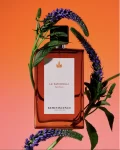 REMINISCENCE.-Le-Patchouli