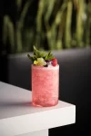 Negresco Rooftop presenta su nueva propuesta con cócteles exclusivos firmados por Yanaida Prado 6